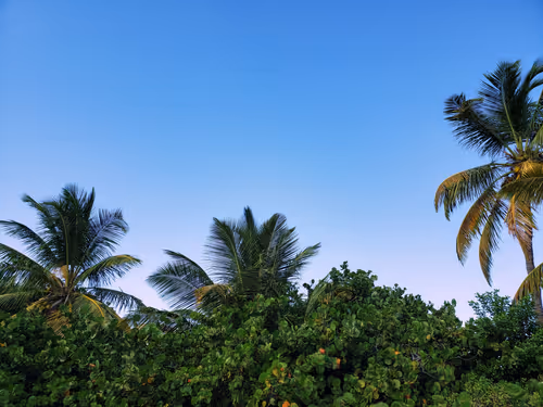 Item #102443687846018542975776468803252172569835645019437735105478418423441103257601 Media