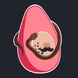 72825970858911574009956774742217753879873016814349433364801885804000587022337