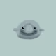 110820739119941188826087059415280551655497447074713784905923277816522474520579