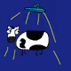 17548665673927463999293302371967136076906539226671958592426905613961445507073