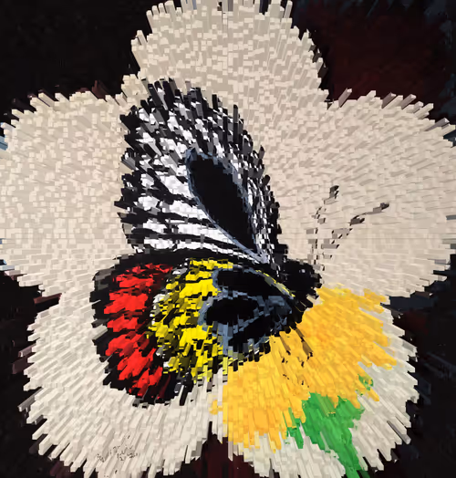 Item #95017265666542461648459459800095134934737867423771847917737234945158582108161 Media