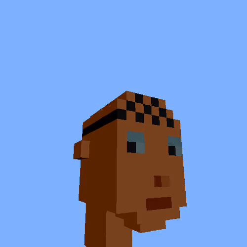 PunkVoxels #2837
