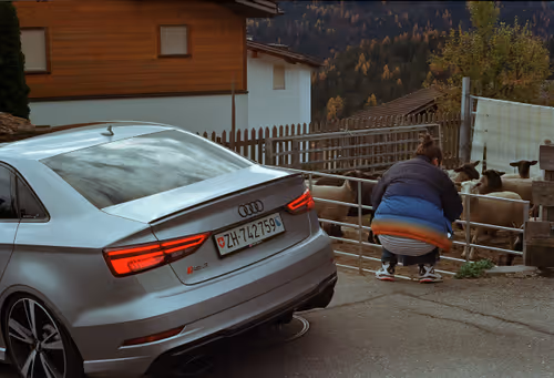 Item #57637116358880253355532068744553761348927083548438341170009746218672753475585 Media