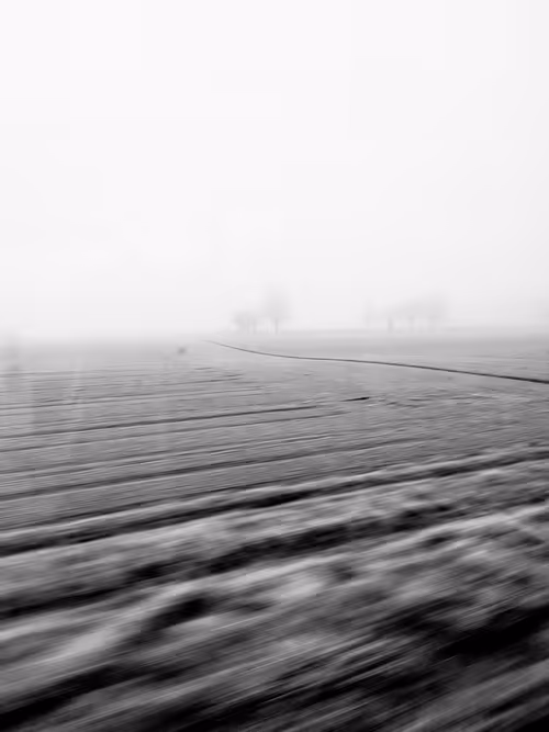 Item #27341599118152821990814945188655830490581500606065182466129863064429076152321 Media