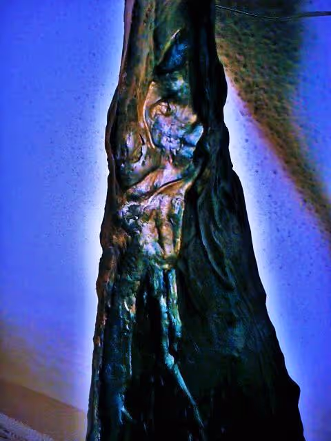 Item #106088272976837957622692016979005149737682721822220582827687527736601942687745 Media