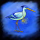 Enchanted Duck Bird no 1
