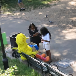 scheming with birds