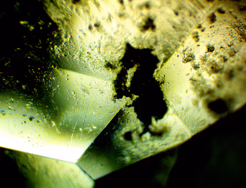 Item #71646257518770613568983710813551014237803002136866425209291834815743424200705 Media