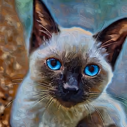 BLUE EYES