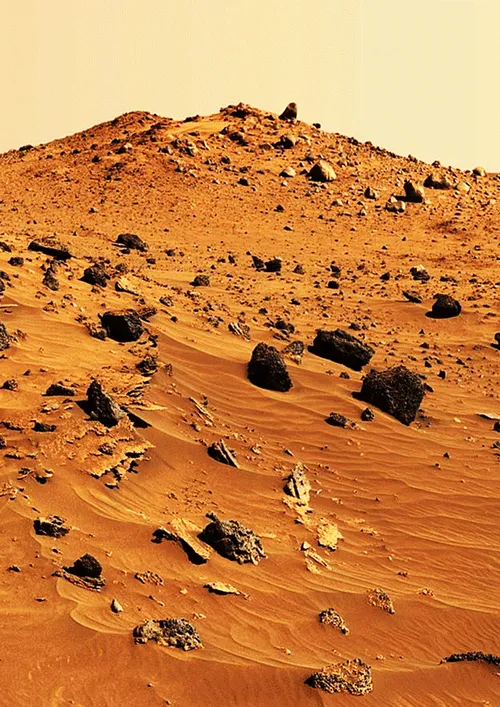 Item #16587184530242839710052864403997558842450579740092040894761418526972637609985 Media