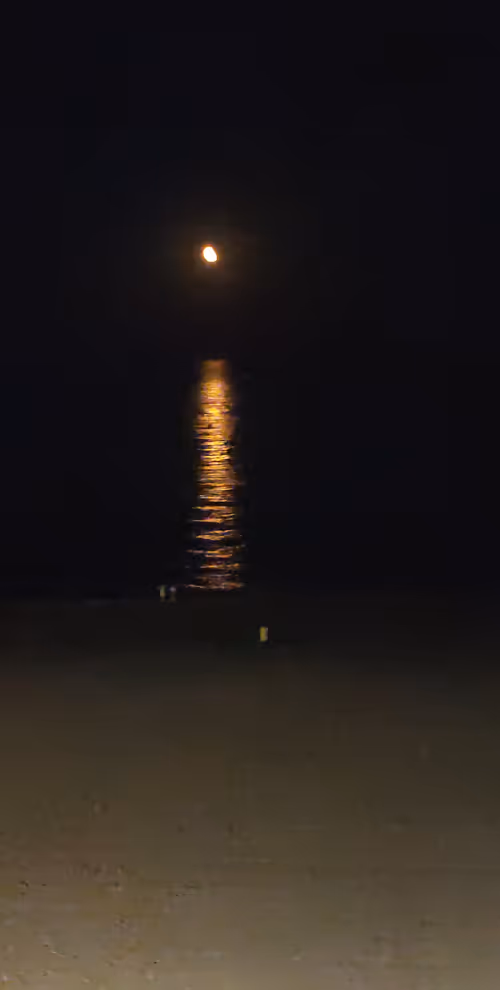 Item #20398726912547406339970687891835182810511091541282257052992388707565631963137 Media