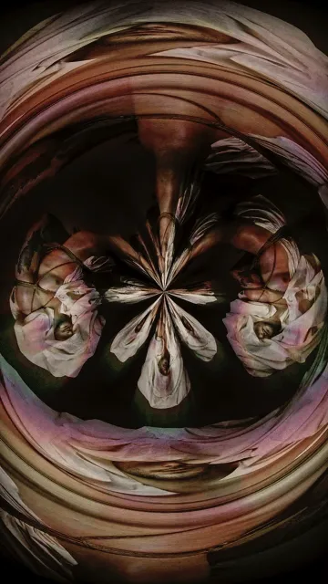 Item #35882245745798686917185348617726027847645759382559279171572756868000517193729 Media