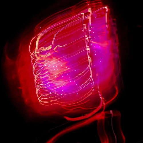 Item #97790434910378556664261528037950509784724770173388744513003037794428600188929 Media