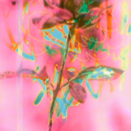 Flowerfarmnft