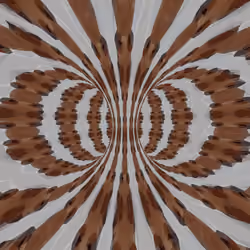 Little brown bear in a spin
