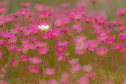 Item #53532806871377414762002313046978113508138147467496899965601038666719528222725 Media