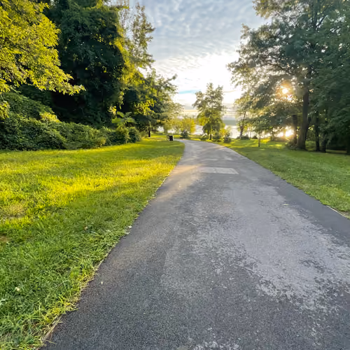 Park & Solitude 