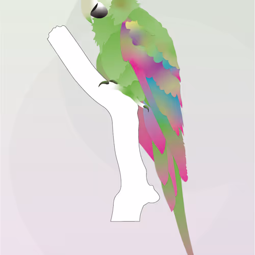 Vector Birds