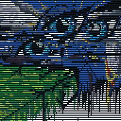 eYE dON'T kNOW