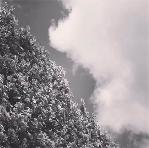 Item #29547677287717661149357270251971277631062759361485371348081001027009574338561 Media