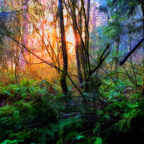 A Trip Through Nature