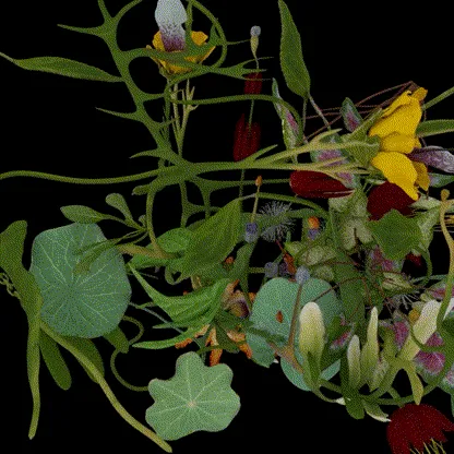 Item #7492014197175371295993437747185923975564654594515035294338329614581166505985 Media