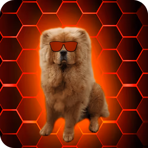 Item #18069411133127541891764540209837632150727605560921678338142275898409045983233 Media