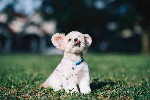 Item #21607923784025543658024067331009769919395041958272689574271021111165784686593 Media