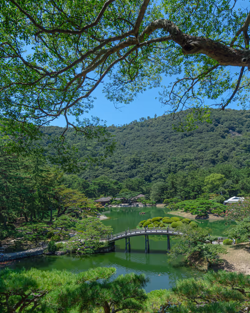 Item #67939412302890938501542439666874695594271992437598486221987910545795346071553 Media