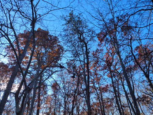 Item #34085441569699423005310991372941828806155687762378495952169943205472406339585 Media