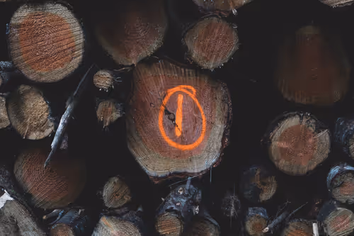 Item #73046461137275594948236189978077908200312084303724710694529697112375909416961 Media