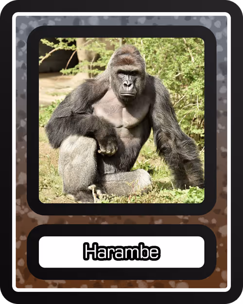 Item #97742667600582443884593755149616635474014282819428560262510650406911627755521 Media