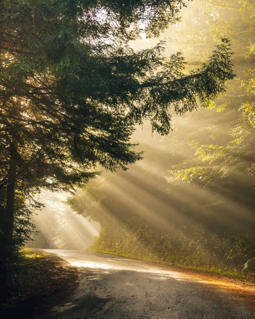 Item #99379921276153973634104125152908526548510783699959858376338453597494337077249 Media