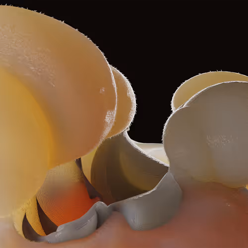 87858548873057691610145785827924316116903784724900626045837509001407193153541