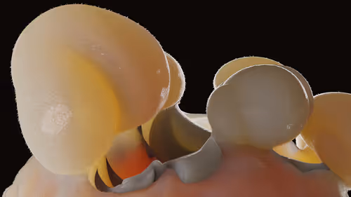 Item #87858548873057691610145785827924316116903784724900626045837509001407193153541 Media