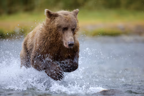 Item #19207338348144225692080396183640865546201068415206893468727031781596629827585 Media