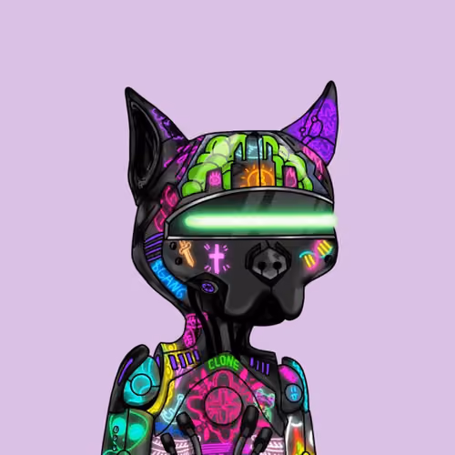 Catborg