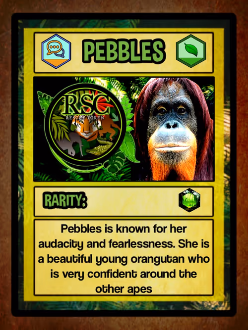 Item #23677228693604097603169999339602269095537618386014397005573117046058429448195 Media
