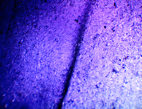 Item #71646257518770613568983710813551014237803002136866425209291834812444889317377 Media