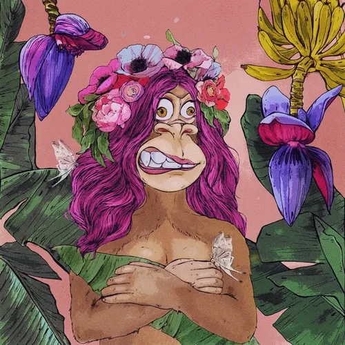 Bored Ape Ladies
