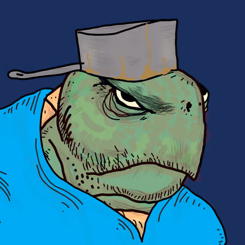 Og Turtle Hedz