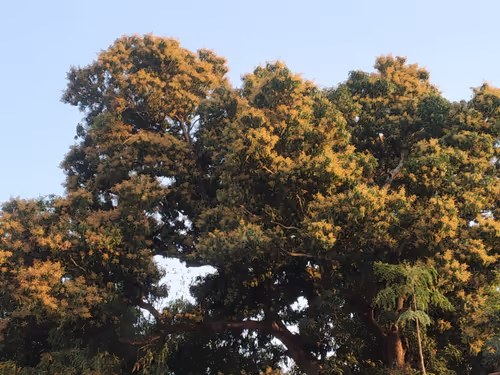 Item #19639212866637923491266492743518133241899401162345393254248405551752794865665 Media