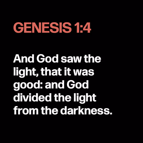 Item #22053356606985035317572807567829034573317121579682343289603633370335417466881 Media
