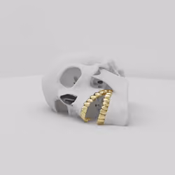 Minimal skull 