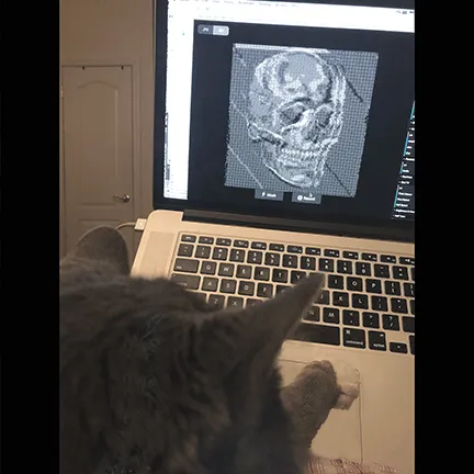 Item #61546273887494475444588041595203808675865993652397141454282261135000900468737 Media