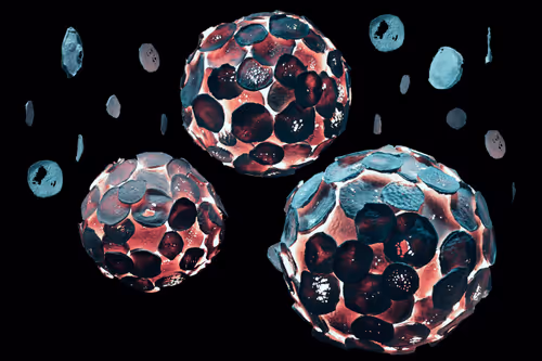 Item #37900416221122506501335633877119484743479036957071266384470156551789270269953 Media