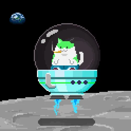 Space Chonks