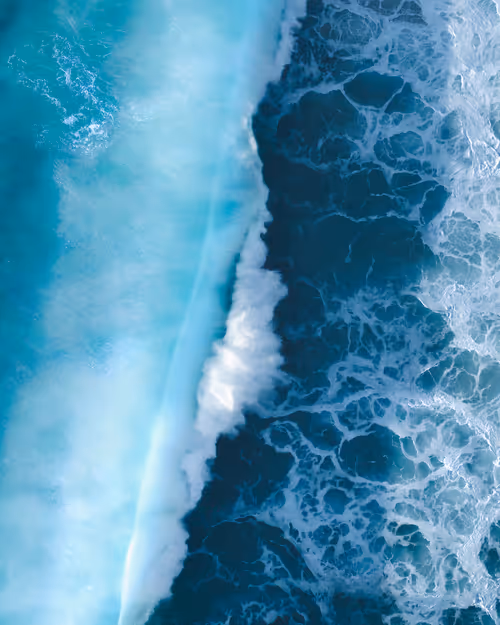 Item #114166721210055605781368580265511700861033361648236924870023126227192169627649 Media