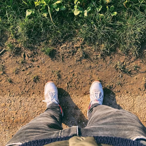 lookdown #78