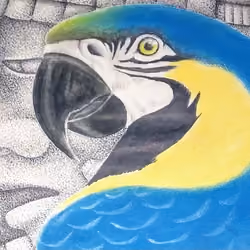 El Pajaro